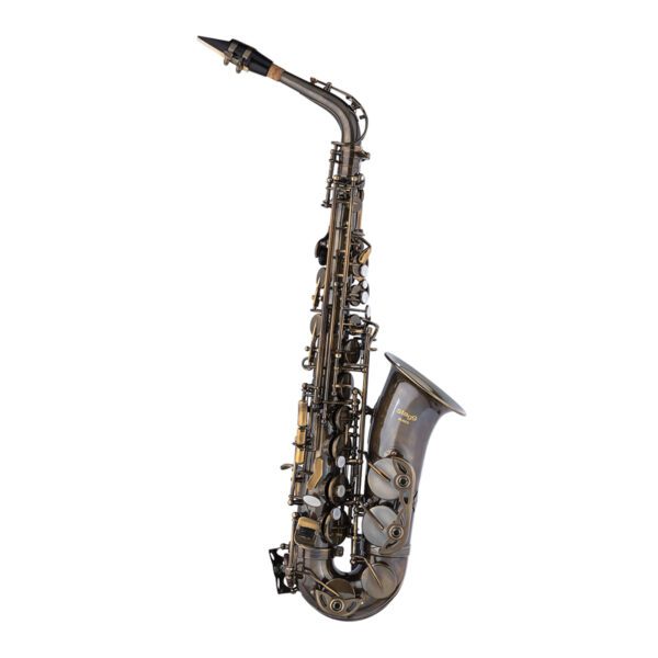 Stagg WS-AS218S, Es alt saxofon, vintage - Image 2