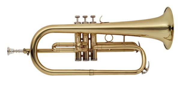 Stagg WS-FH215S, B křídlovka perinetová