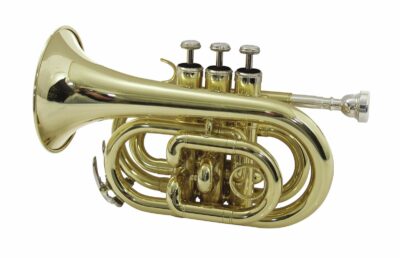 Dimavery TP-300 B trubka kapesní