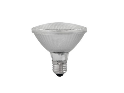 Omnilux PAR 30 230V SMD 6W E27 LED 6500K