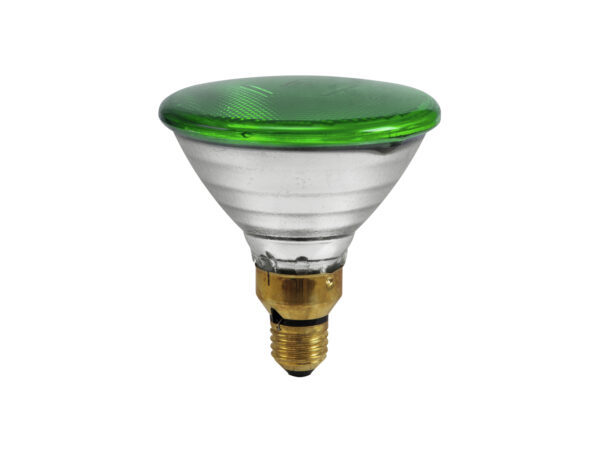 PAR 38 230V/80W FL E27 Omnilux zelená