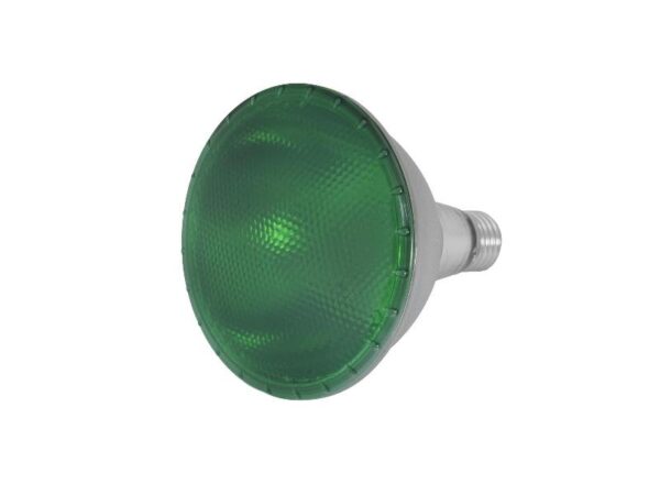 PAR-38 230V SMD 15W E27 LED Omnilux, zelená - Image 2