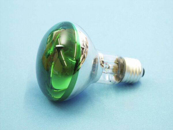 Omnilux R80 230V/60W E-27, zelená - Image 2
