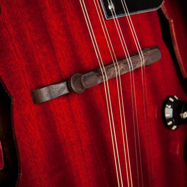 Stagg M50 E, elektroakustická bluegrassová mandolína, redburst - Image 5