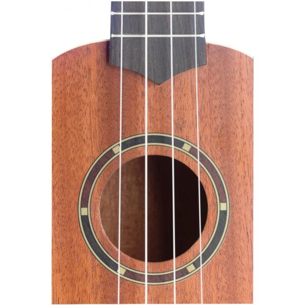 Stagg UC-30, koncertní ukulele - Image 3