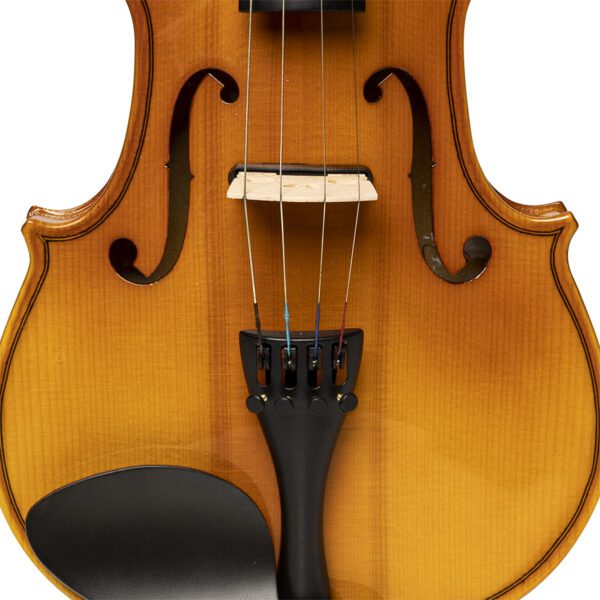 Stagg VN-4/4 ELEC, elektroakustické housle s pouzdrem - Image 4