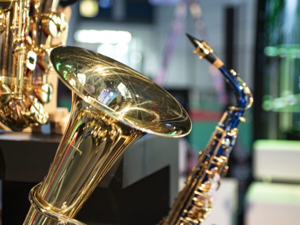 Dimavery SP-30 Es alt saxofon, modrý - Image 3