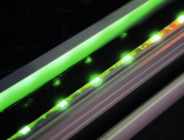 Eurolite LED Ribbon prodlužovací kabel 1.5m pro RGB SMD 5050 - Image 4