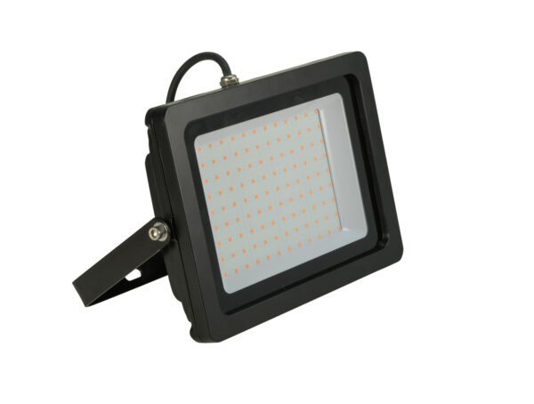 EUROLITE LED IP FL-100 SMD UV LED, venkovní reflektor - Image 4