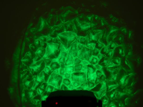 Eurolite LED WF-30 vodní efekt, 1x 40W RGB COB LED, DMX - Obrázek 6