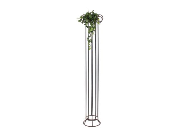 Pothos trs malý, 60 cm - Image 3
