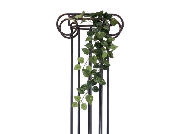 Pothos trs střední, 70 cm