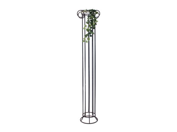 Pothos trs střední, 70 cm - Image 3