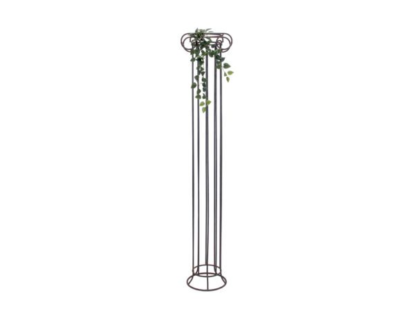 Filodendron trs střední, 70 cm - Obrázek 3