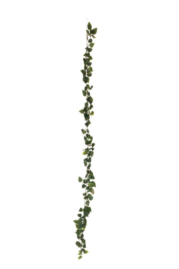 Girlanda z filodendronu, 180 cm