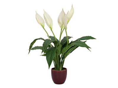 Bílá lilie v květináči, 49cm
