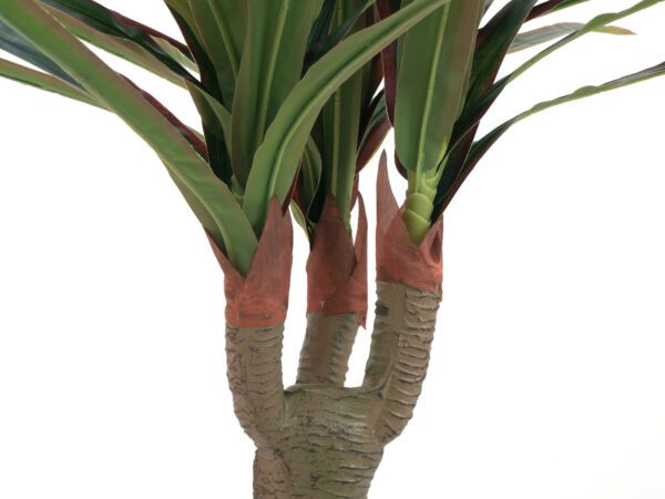 Dracena zeleno-červená, 120 cm - Image 3