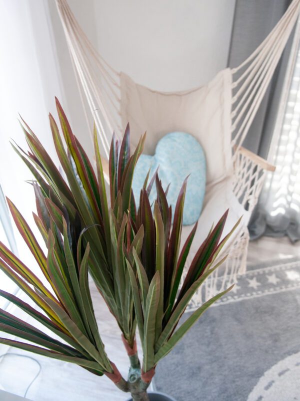 Dracena zeleno-červená, 120 cm - Image 6