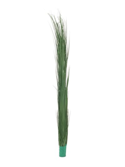 Zblochan vodní, tmavě zelený, 127 cm