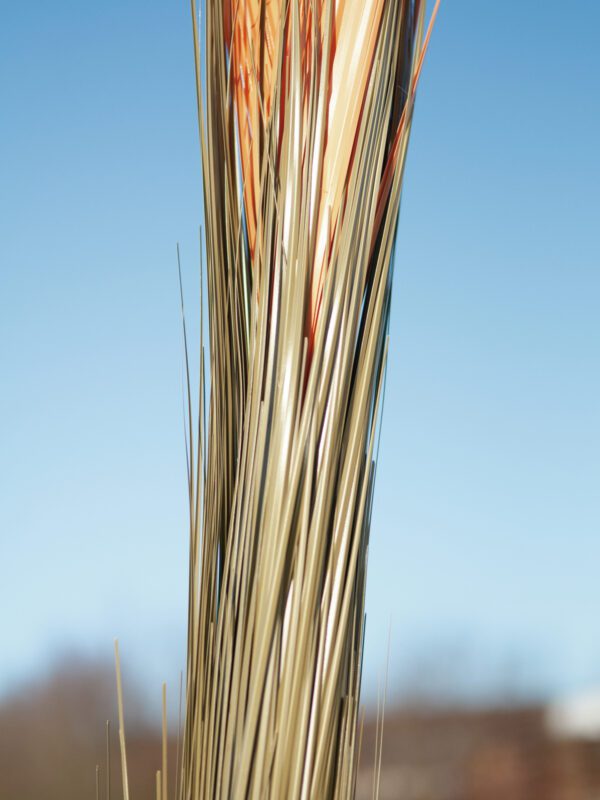 Zblochan vodní, světle hnědý, 127 cm - Image 8