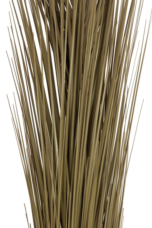 Zblochan vodní, tmavě hnědý, 127 cm - Image 2