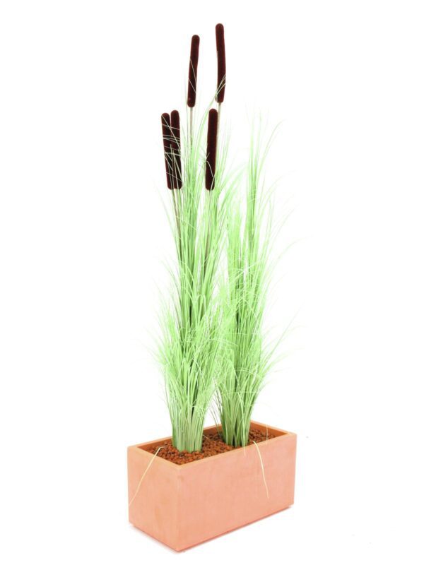 Zblochan vodní, světle zelený s pupeny, 152 cm - Image 3