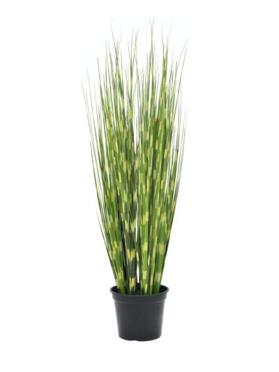 Zebrovaná tráva, 90cm