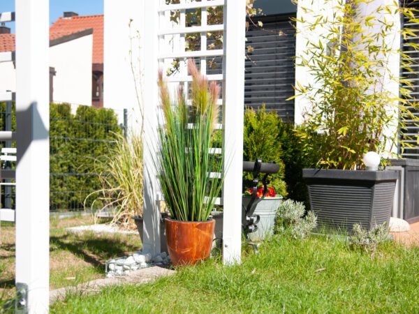 Péřová tráva, růžová, 90cm - Image 7