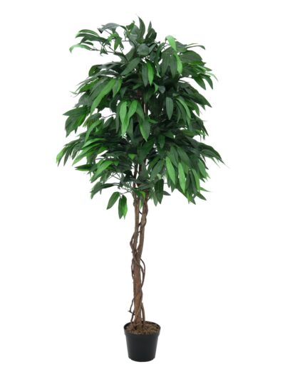 Strom Mango, 180 cm