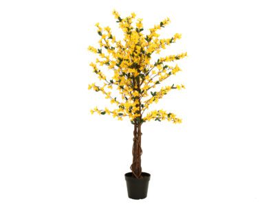 Zlatnice se 4 kmeny žlutá, 120 cm