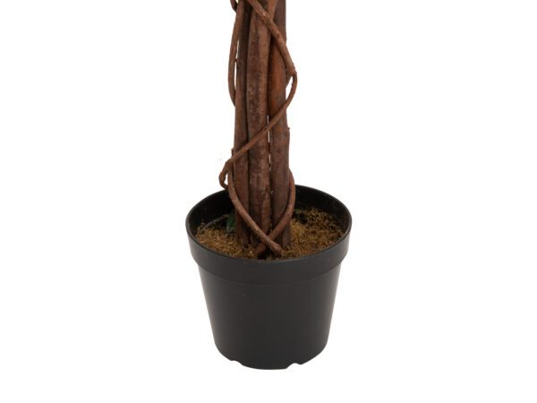 Forsythia se 4 kmeny, žlutá, 120 cm - Image 3