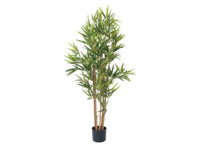 Europalms Bambus deluxe, 120cm