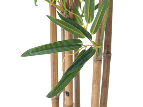 Europalms Bambus deluxe, 120cm - Obrázek 3