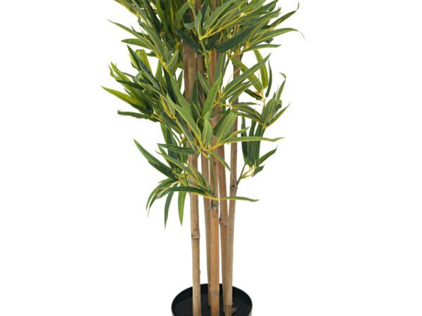 Europalms Bambus deluxe, 180cm - Image 3