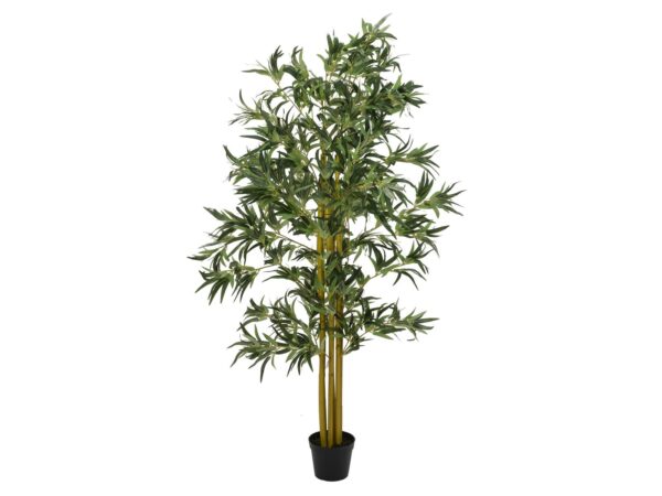 Bambus multi kmen 180 cm