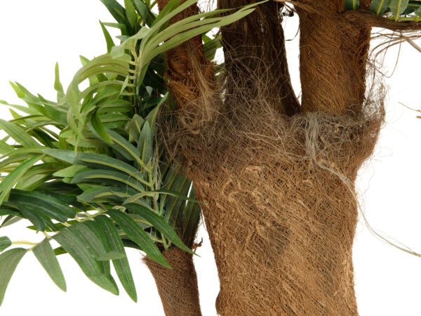 Palma Areca, 170cm - Image 3