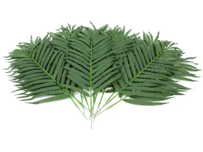 Kokosový palmový list krátký, 80 cm, 12 ks