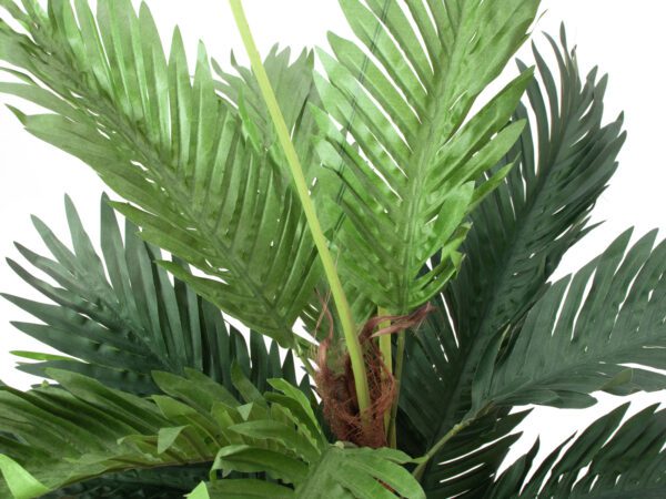 Kentia palma, 120 cm - Image 2