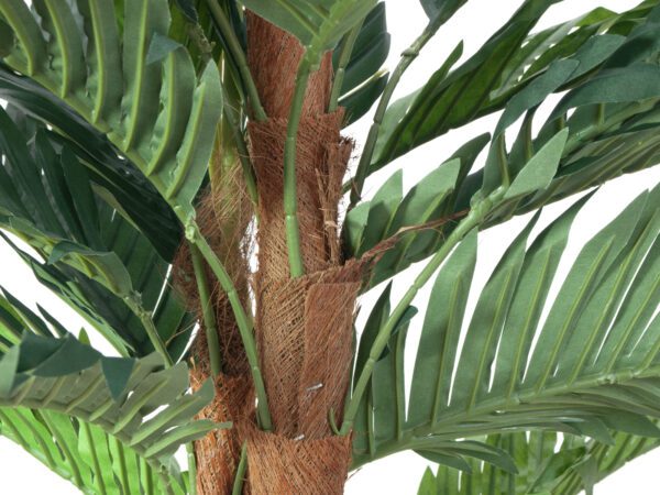 Kentia palma, 120 cm - Image 3