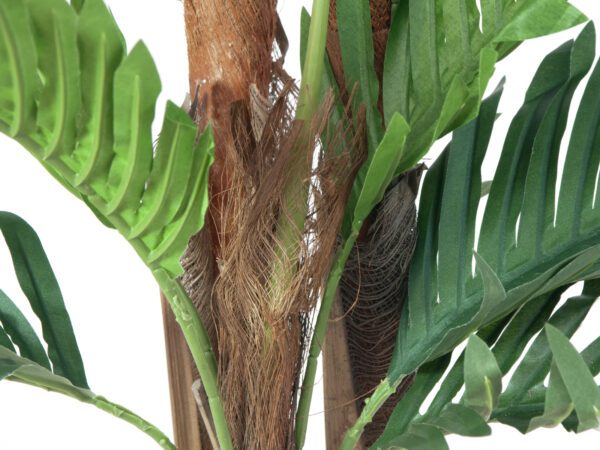 Kentia palma, 120 cm - Image 4