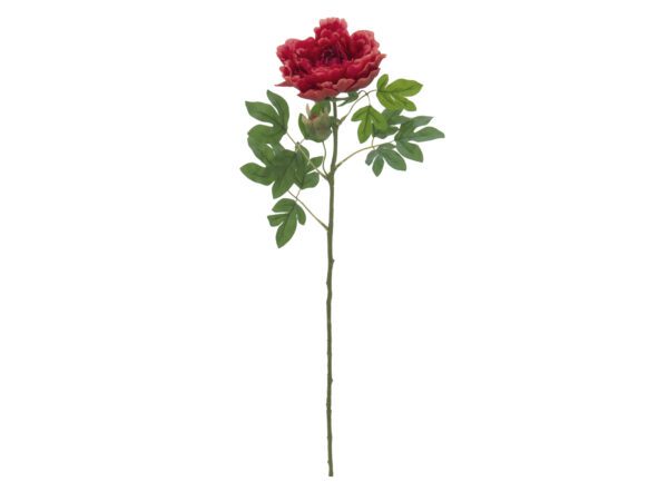 Větvička pivoňky, purpurová, 80 cm
