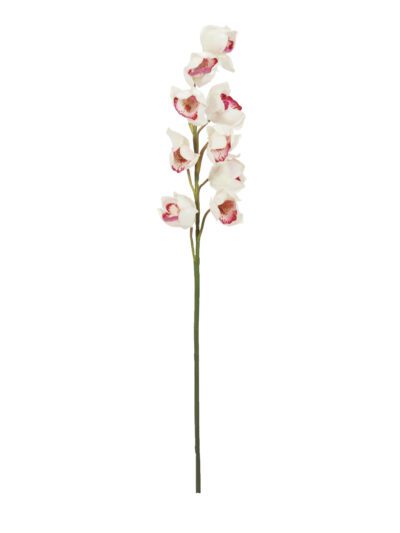 Orchidej větvička, bílo-růžová, 90 cm