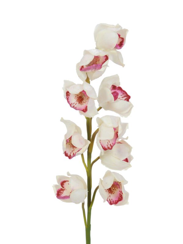 Orchidej větvička, bílo-růžová, 90 cm - Image 2