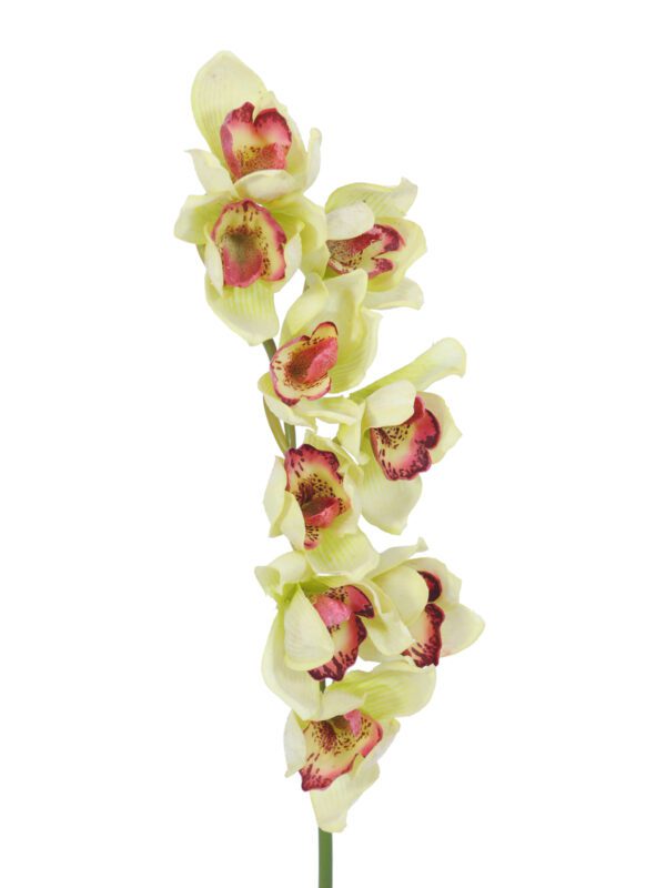 Orchidej větvička, zelená, 90 cm - Image 2
