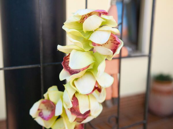 Orchidej větvička, zelená, 90 cm - Image 3