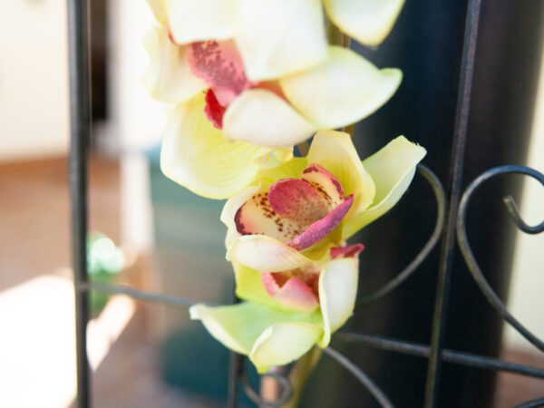 Orchidej větvička, zelená, 90 cm - Image 4