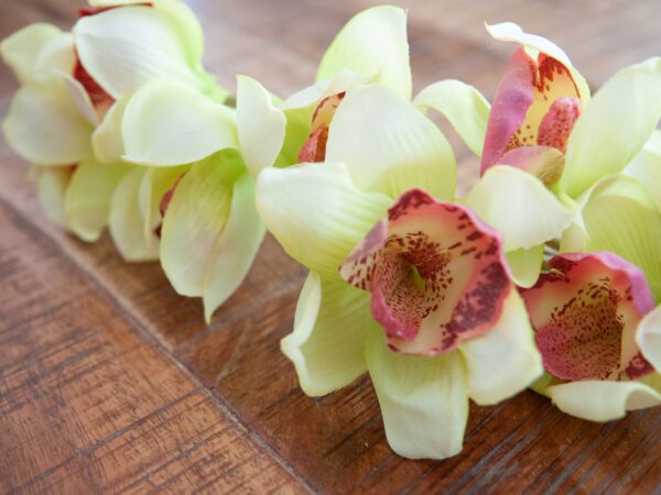Orchidej větvička, zelená, 90 cm - Image 6