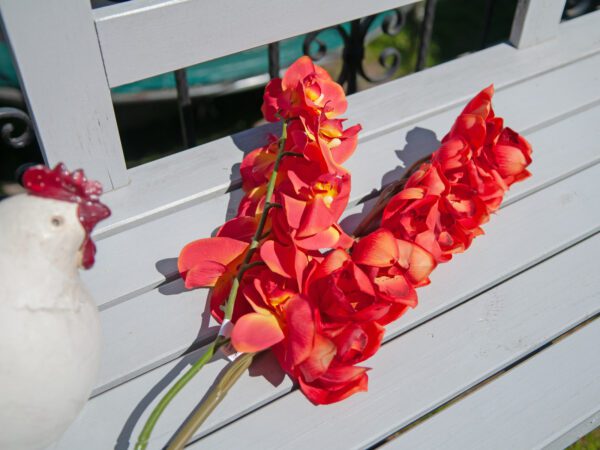 Orchidej větvička, červená, 90 cm - Obrázek 6