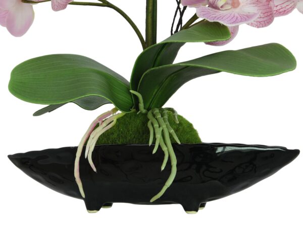 Orchidej aranžmá s květináči, růžová, 60 cm. - Image 3