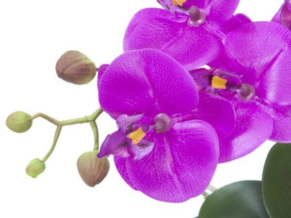 Orchidej fialová v dekoračním květináči, 45 cm - Image 2